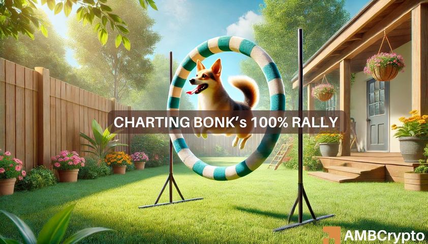 BONK 加密泵 90%