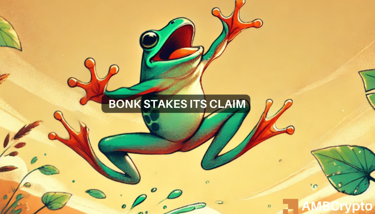 探讨 BONK 的最新崩溃是真实的还是价格陷阱