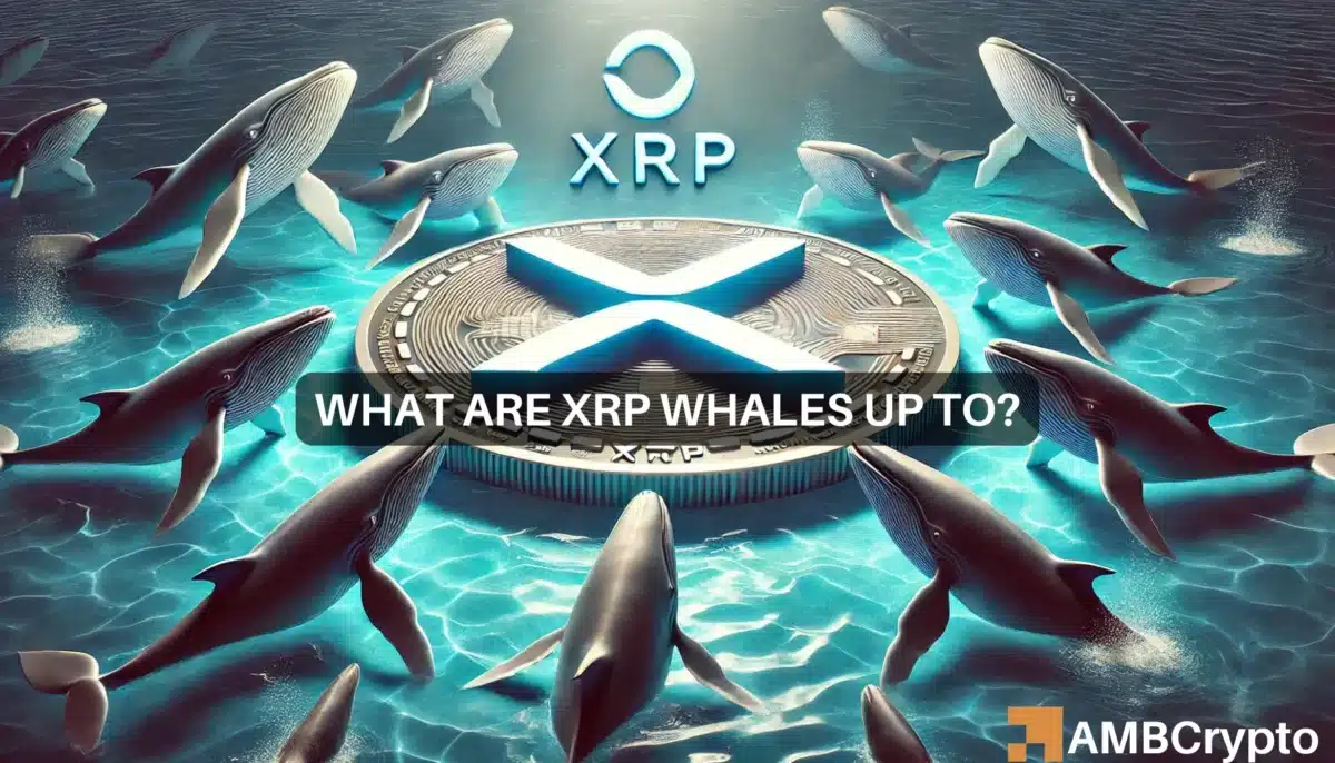 XRP 鲸鱼收获 5200 万代币，这预示着潜在的上涨空间