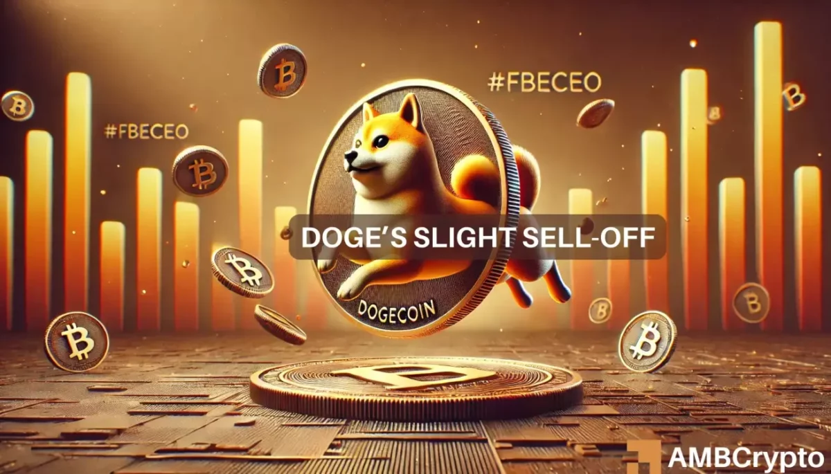 DOGE有危险吗？分析 2500 万美元的狗狗币销售