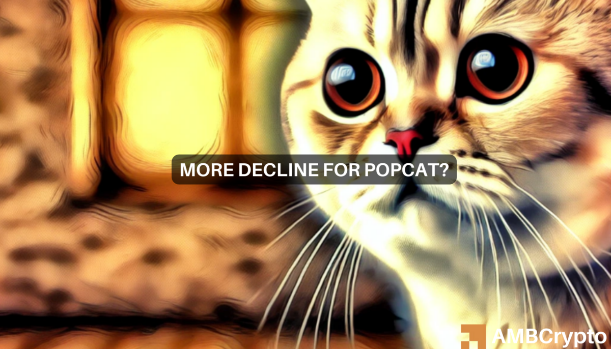 Popcat 7 天内下跌 8.5%，面临进一步下跌的风险