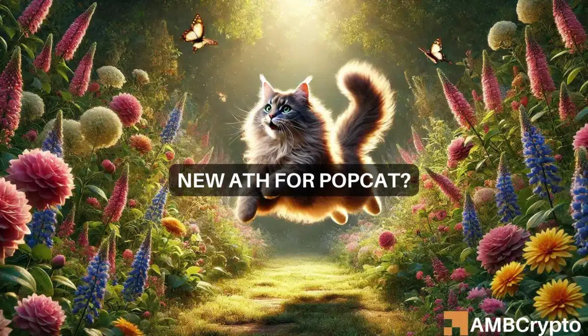 期货未平仓合约激增，Popcat 创下新高