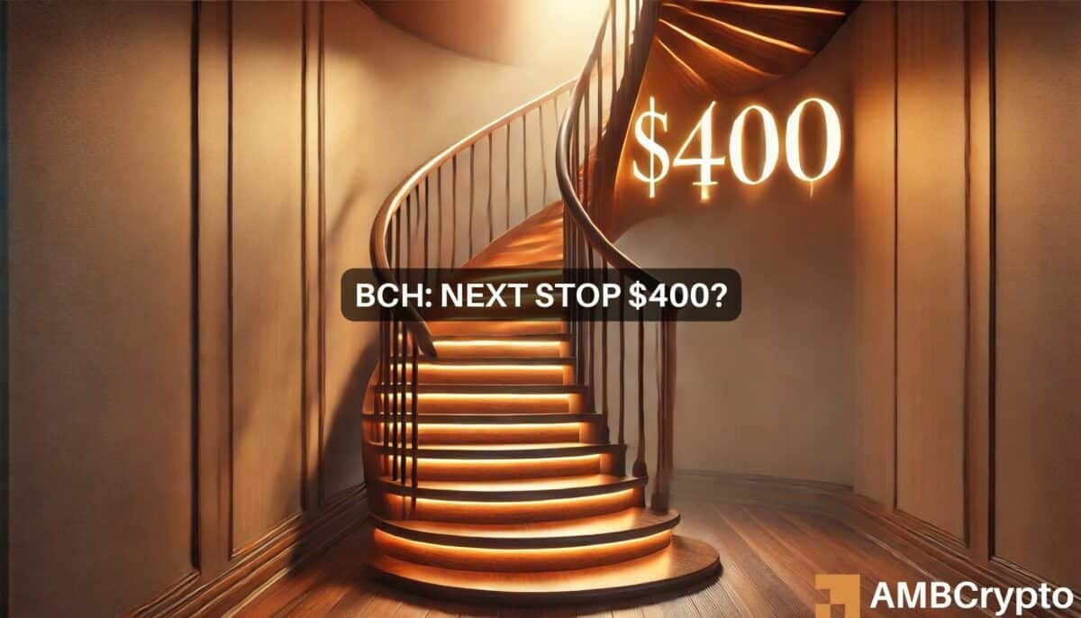 比特币现金：可能推动 BCH 涨至 400 美元以上的 3 个主要因素