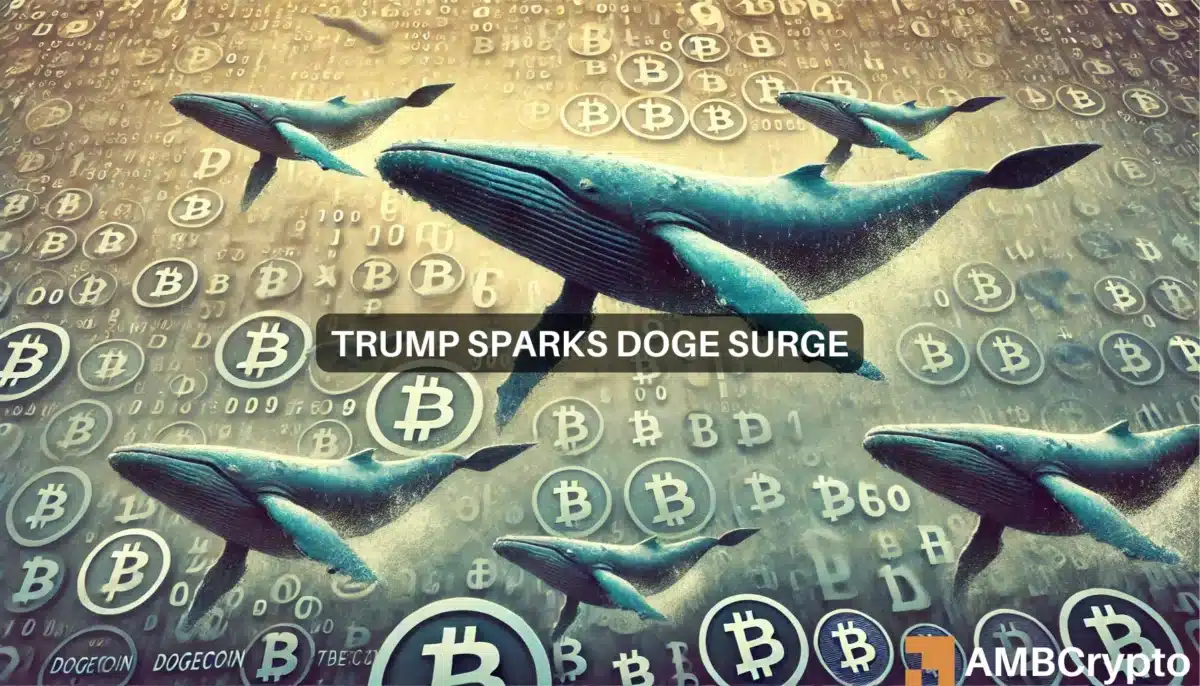 狗狗币鲸鱼纷纷加入：得益于“特朗普效应”，DOGE 上涨 28%