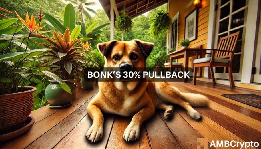 BONK利润下降30%