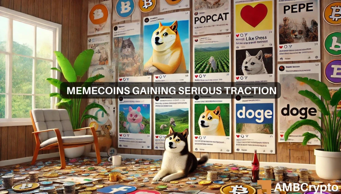 “Memecoin 超级周期”开始了吗？ POPCAT 超越比特币，投资者兴奋不已