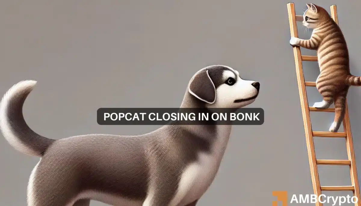 为什么 2 美元是 POPCAT 战胜 BONK 的关键