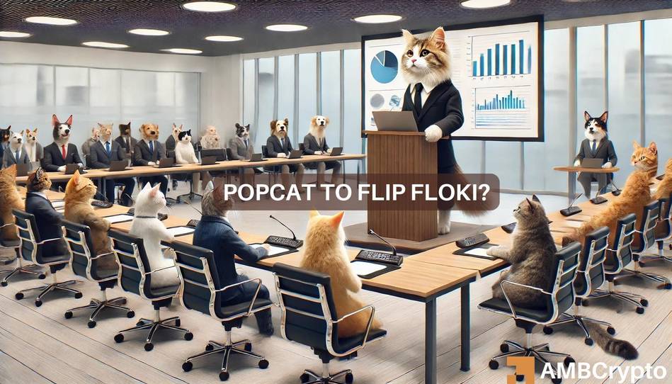 “Popcat 要把 Floki 干掉”