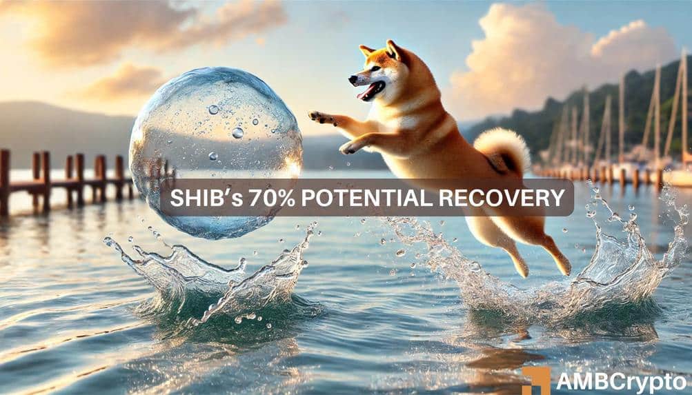 Shiba Inu 新闻：分析师预测 SHIB 的潜在涨幅为 71%