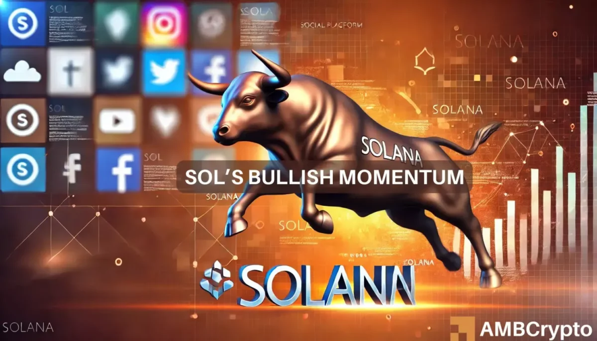 Solana 20% 的看涨情绪：它告诉您 SOL 的下一步行动