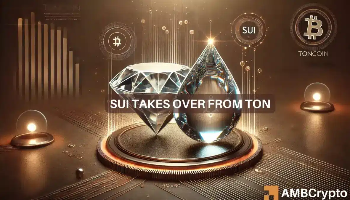 Sui 攀升至新高，年初至今涨幅达 180%，跑赢 Toncoin