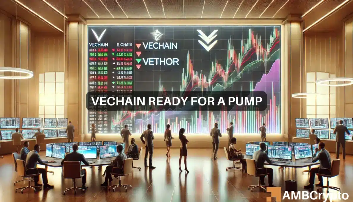 VeChain 上涨 28%，VeThor 上涨 43%