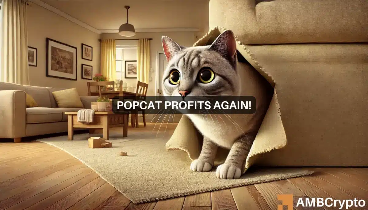 POPCAT 持仓量跃升 29%