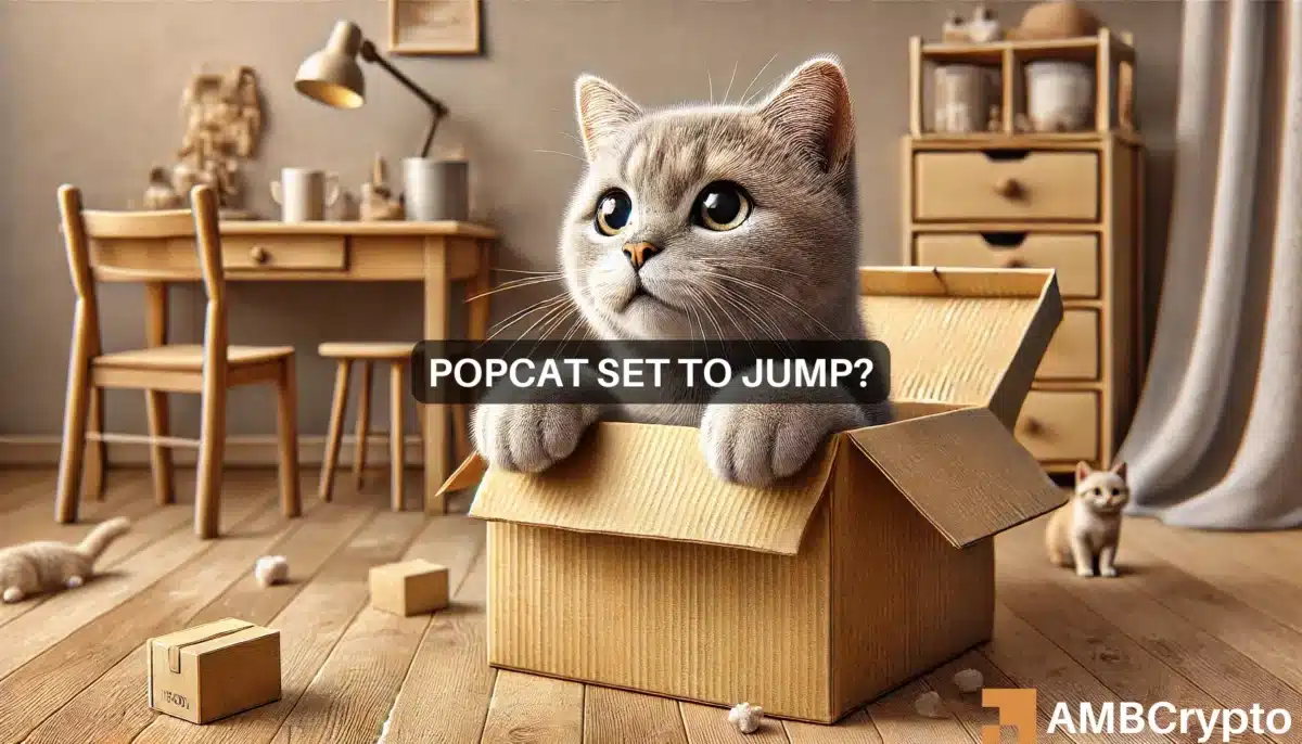 POPCAT 的看涨信号，着眼于 22% 的反弹