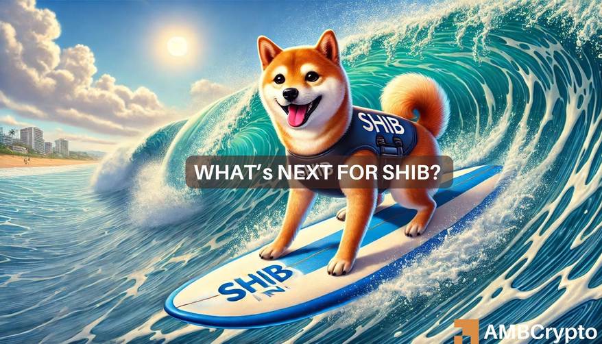 绘制 Shiba Inu 的价格预测，SHIB 在 24 小时内上涨 12%