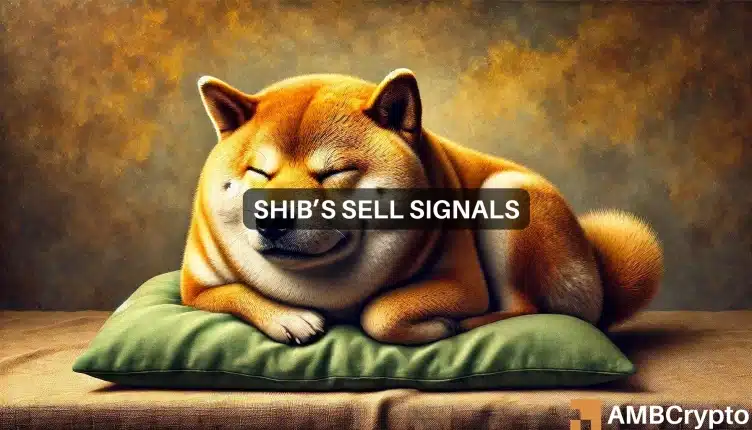 Shiba Inu：近期上涨后，SHIB 面临抛售压力