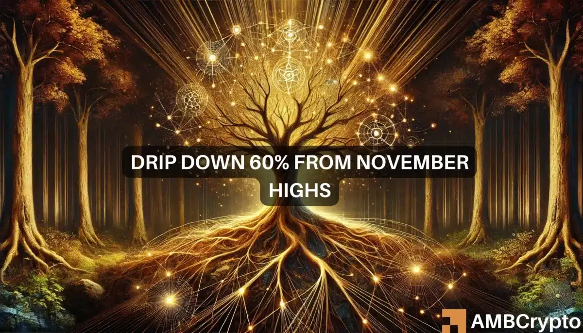 DRIP 加密货币日涨幅达 32%，但多头仍在争夺控制权