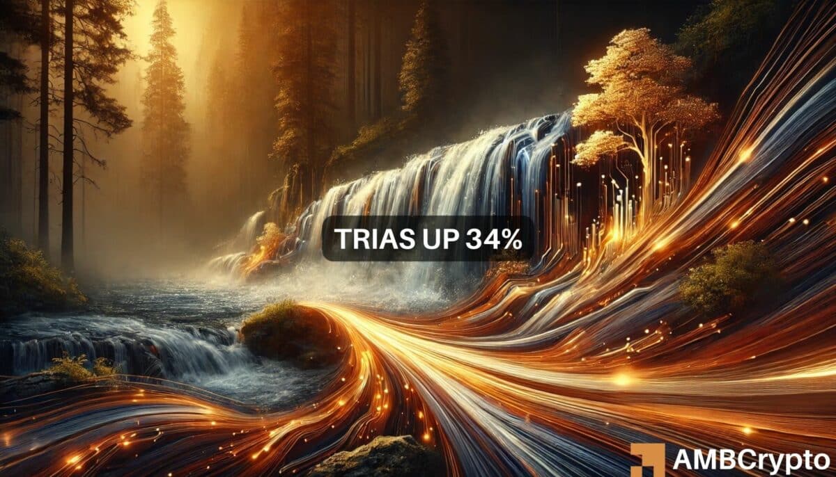 TRIAS 24 小时内飙升超过 35%：下一步是什么？