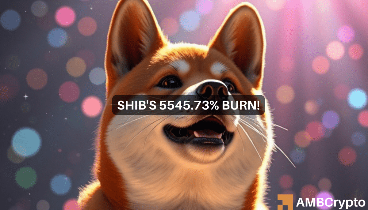 柴犬烧伤率飙升5545%！这对 SHIB 意味着什么