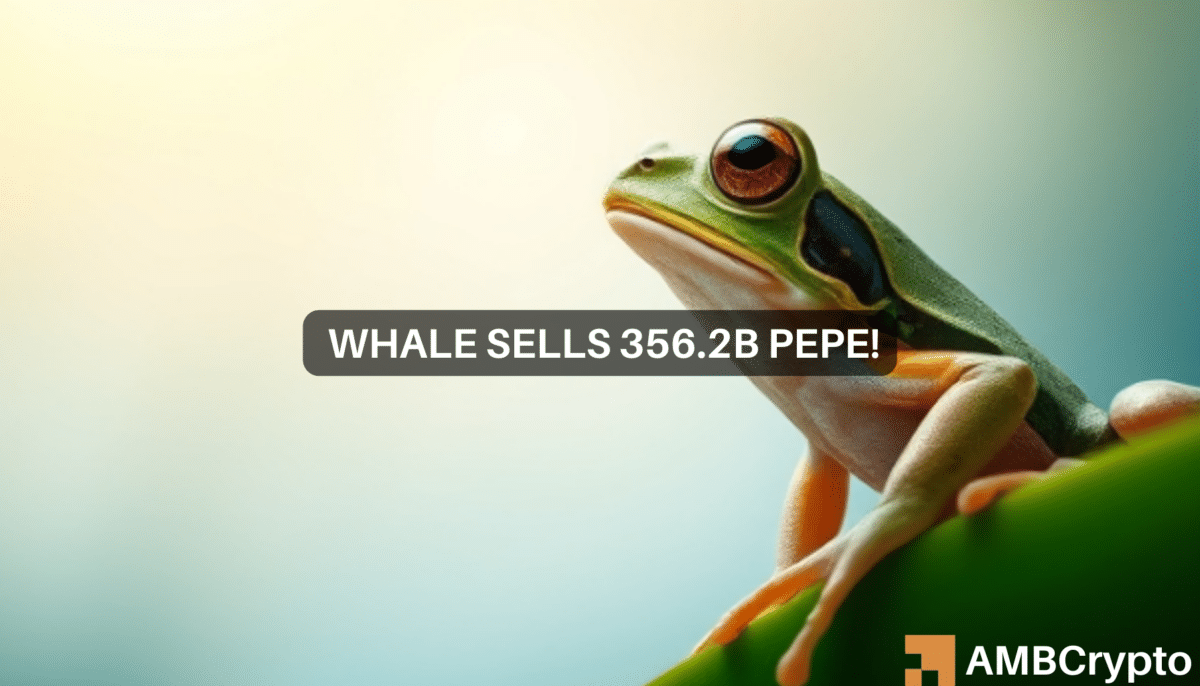 Pepe Whale 出售 356.2B 代币，价值 730 万美元：对价格有何影响？