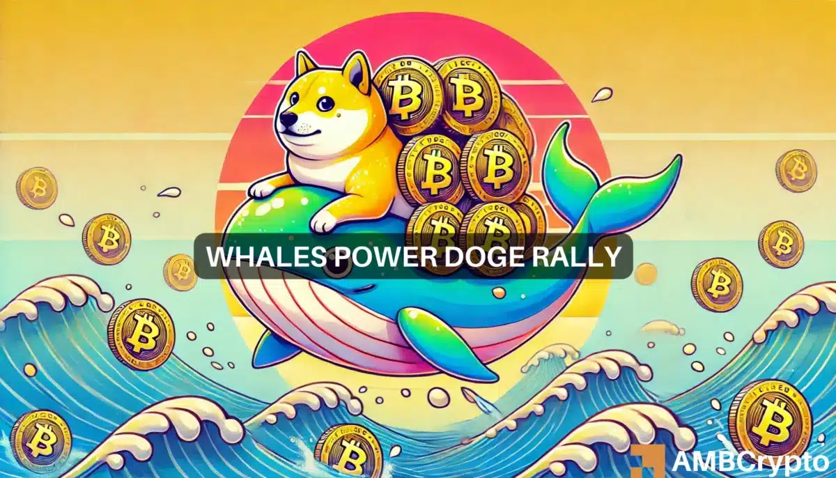 狗狗币鲸鱼购买 1.6 亿 DOGE