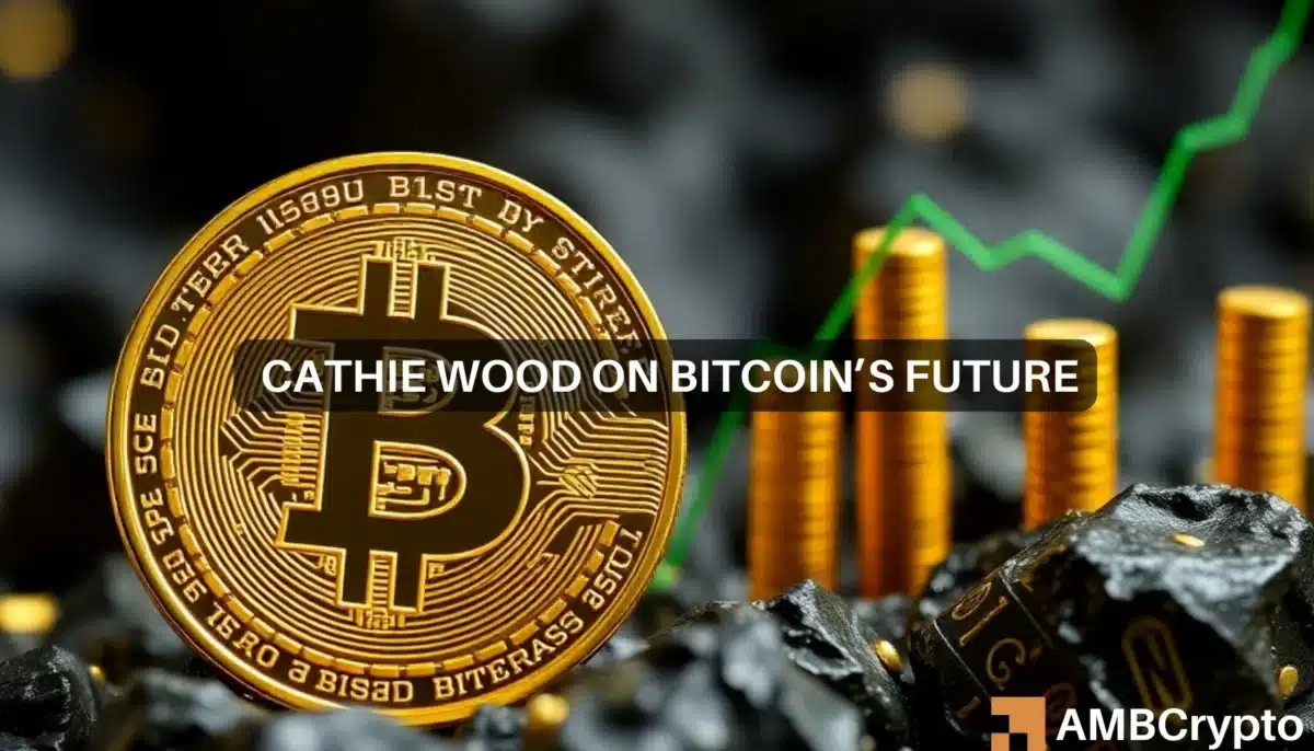 Cathie Wood 表示，随着 BTC 突破 10 万，“比特币仍处于早期阶段”