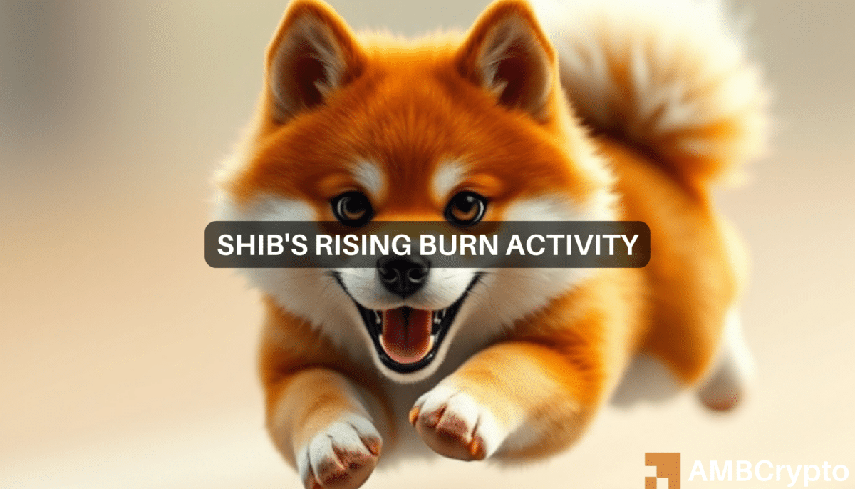 Shiba Inu：12 月 SHIB 是安全的选择吗？正在评估...