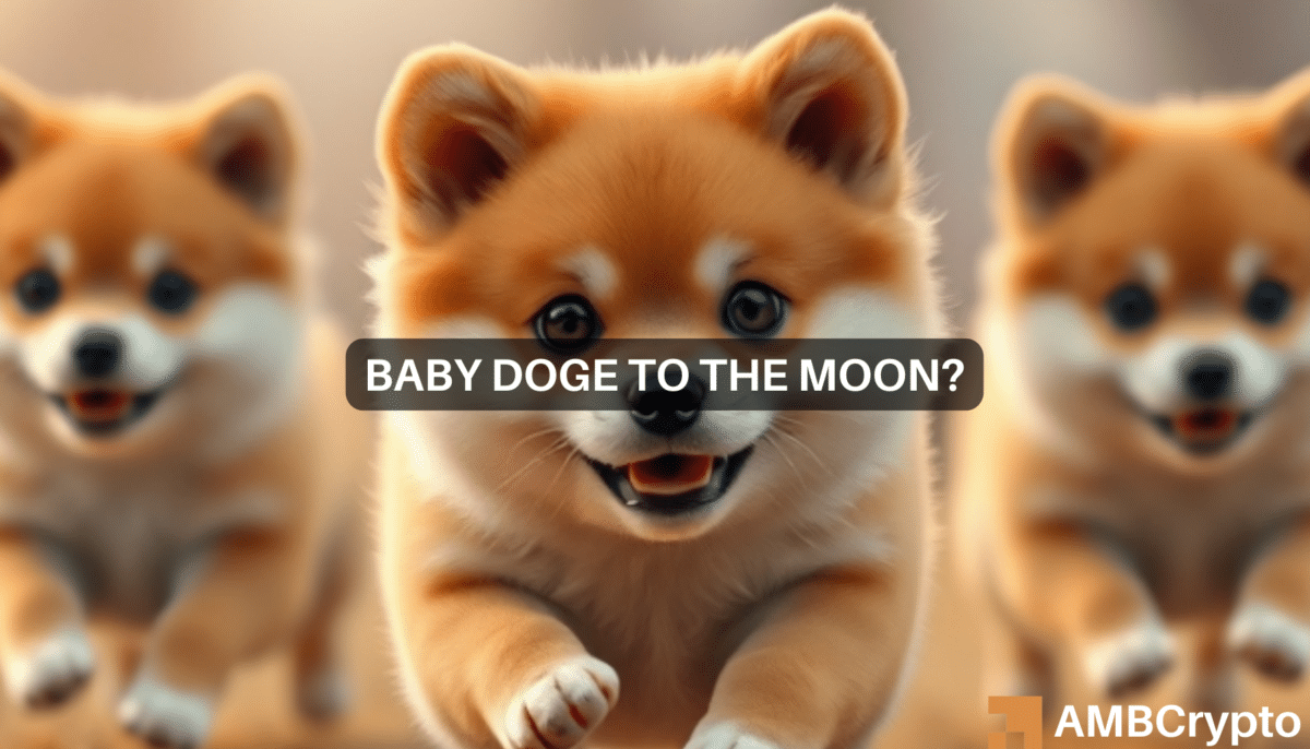 埃隆·马斯克 (Elon Musk) 引发了宝贝狗狗 (Baby Doge) 的狂热，但炒作还不够