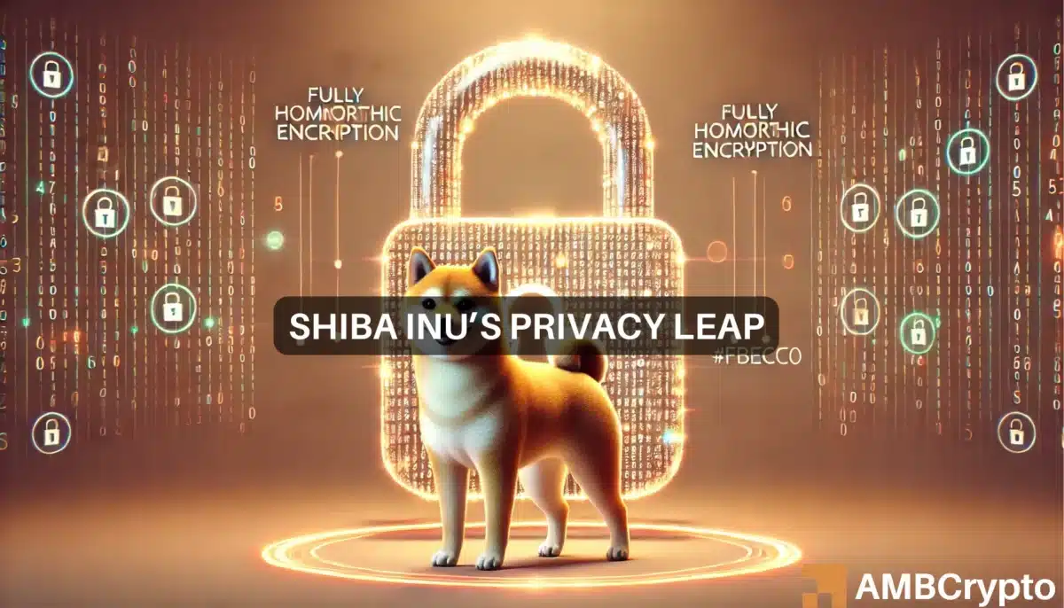 Shiba Inu [SHIB] 更新：6.2 亿交易量，全新隐私升级