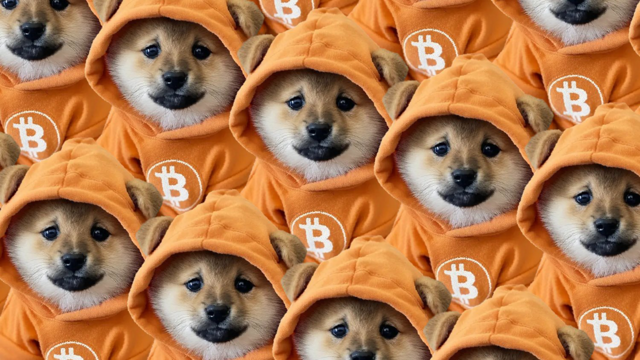 随着比特币 DOG 代币的普及，Baby Doge 和 Neiro Meme 代币飙升