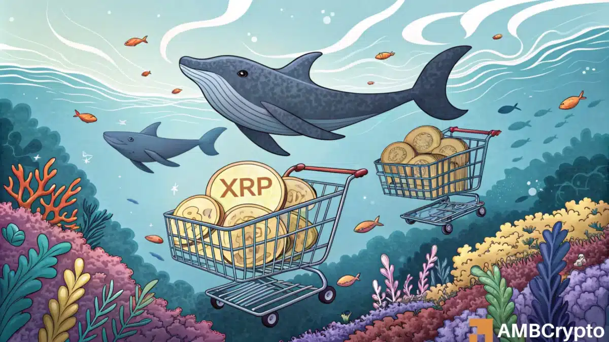 XRP 能否达到 100 美元、300 美元甚至 500 美元？这是可以实现这一目标的方法