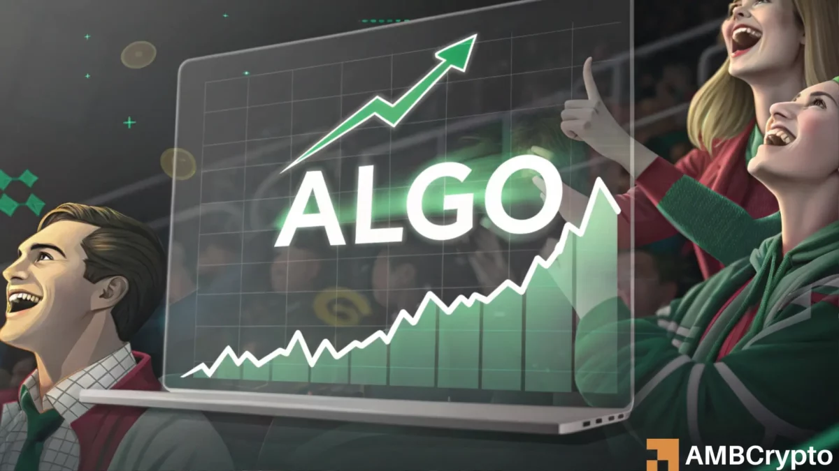 Algorand 的“加息 80%”