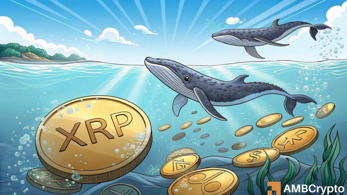 XRP 鲸鱼购买了 1.1 亿个代币，价值 2.42 亿美元