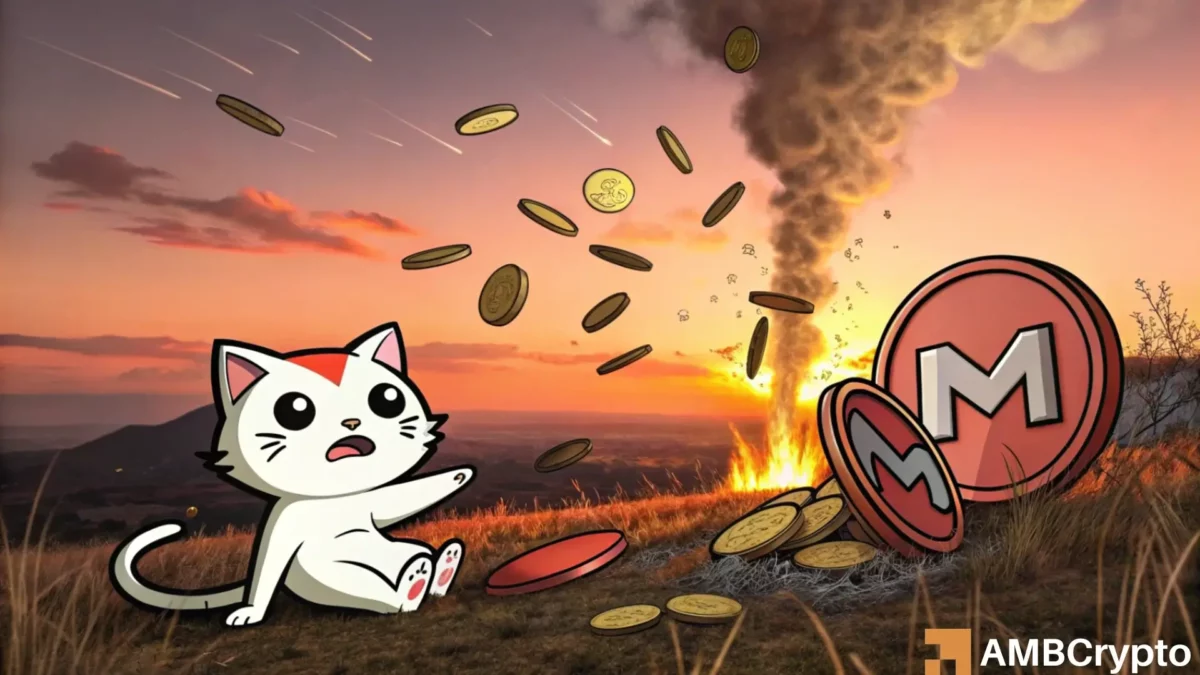 MEW vs POPCAT：memecoin 的翻转会比你想象的更接近吗？