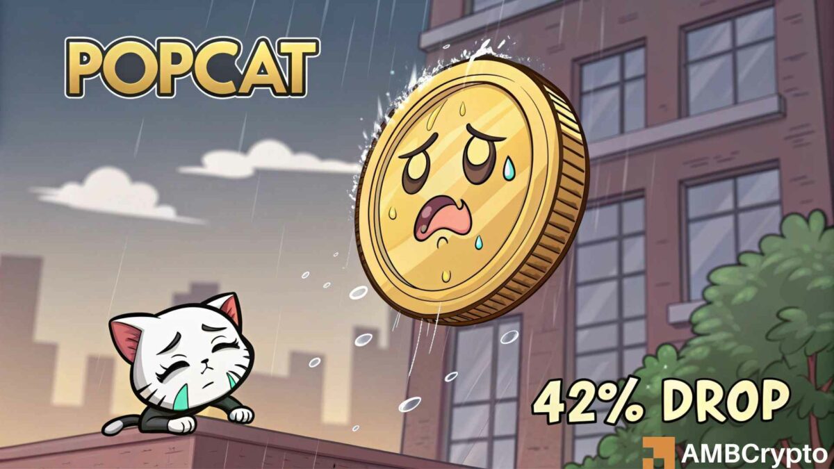 POPCAT 预计下跌 42%，原因如下