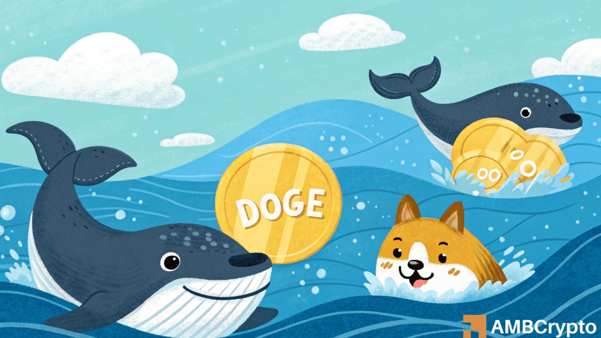 狗狗币：鲸鱼能否帮助 DOGE 下一步瞄准 0.50 美元？