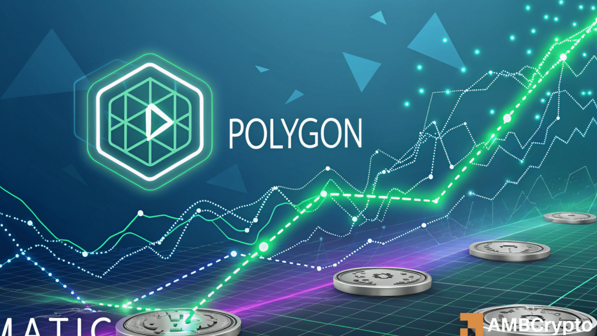 Polygon 的网络增长激增