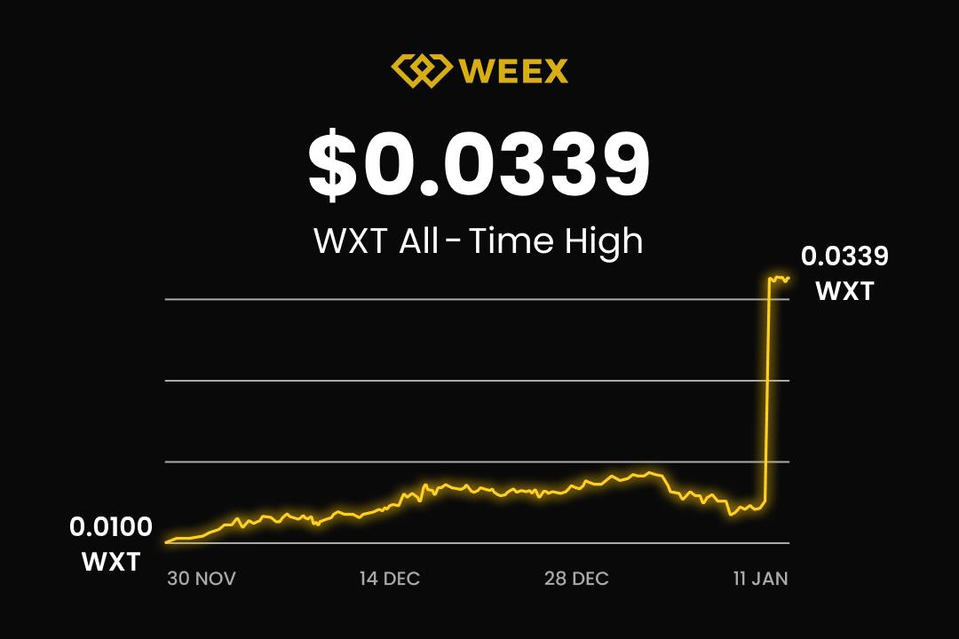 WEEX全球用户数达500万，WXT价格24小时内飙升101%