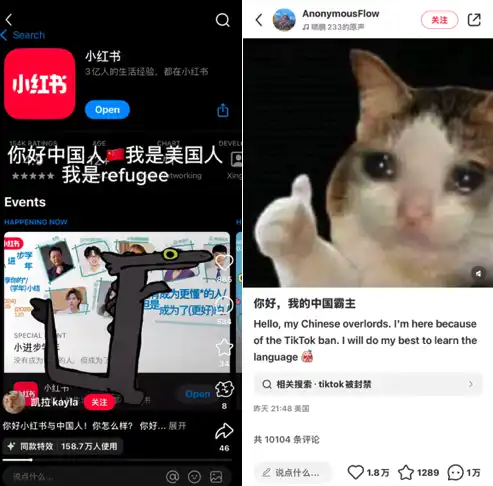 TikTok難民瘋狂湧入小紅書，如何從中找到Meme投資機會？