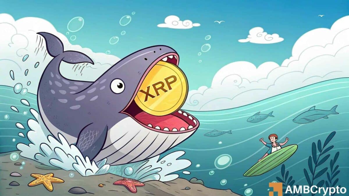 Crypto Whale 购买了 7600 万美元的 XRP，目标是 4.5 美元