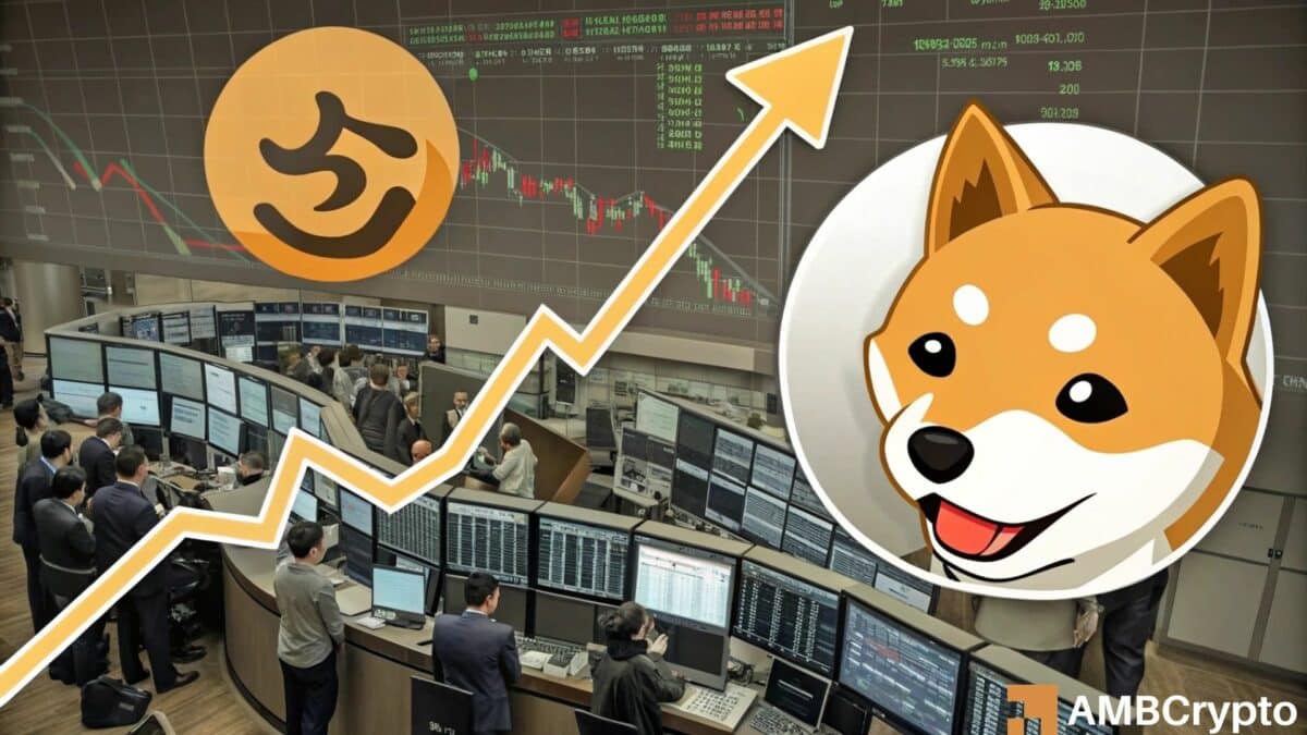 柴犬的资金外流可能会对 SHIB 的价值产生这种影响！