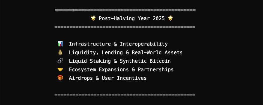 Thoughts after the 2025 halving