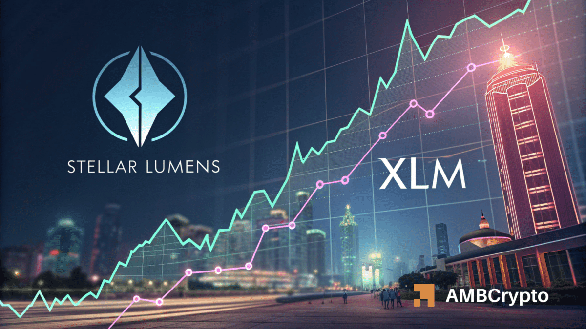 XLM 的短裤