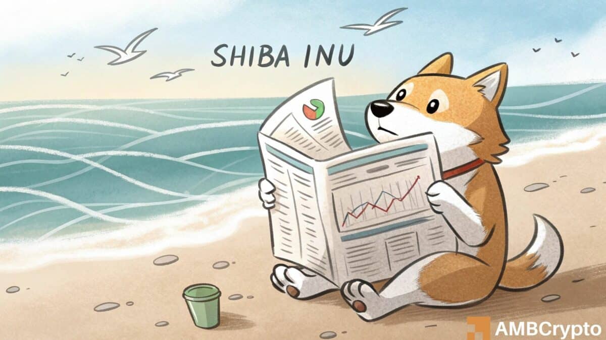 Shiba Inu从6中恢复