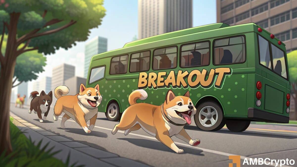 Dogecoin进入合并 - 该组如何搅动Doge Breakout