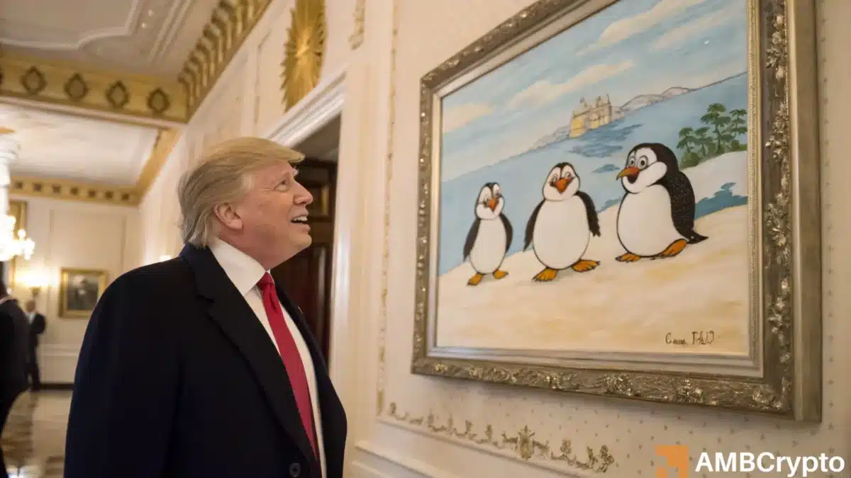 彭古（Pengu），特朗普（Trump）接近新所有人