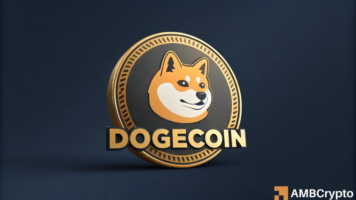 Dogecoin命中了关键支持 - 是否有重大反弹？