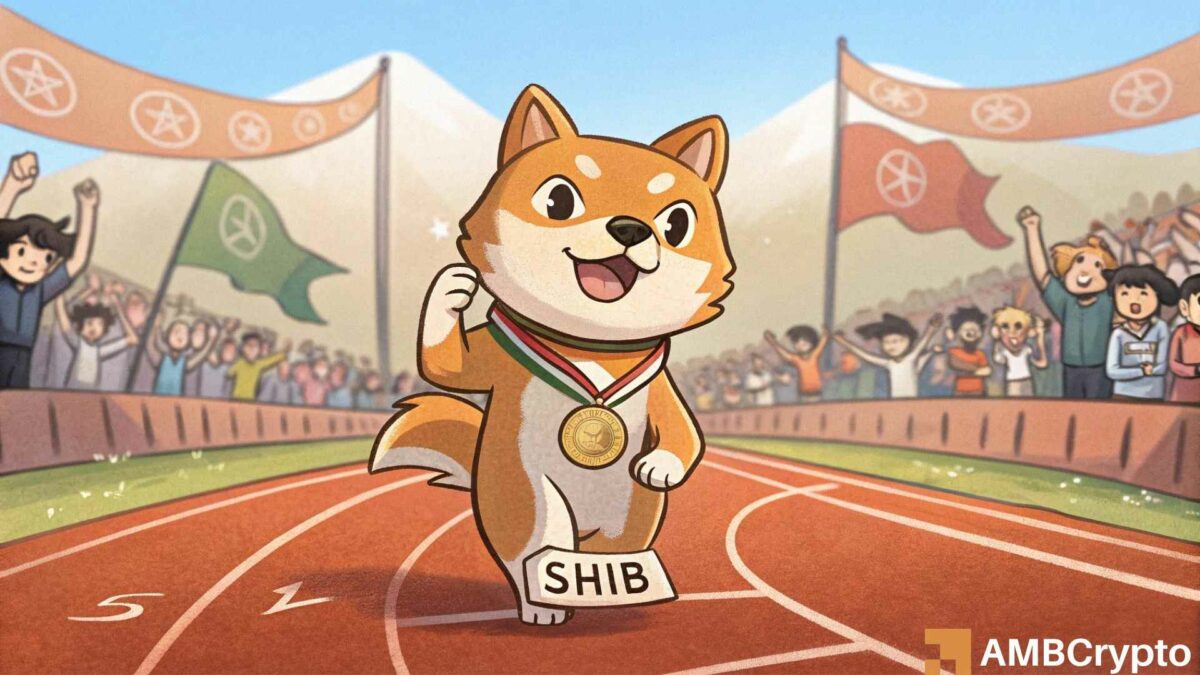 一周内燃烧了61千万史shiba inu