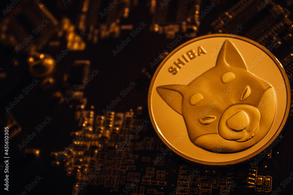 市场崩溃后，Shiba INU百万富翁的数字低于1,000次以下，他们控制了多少？