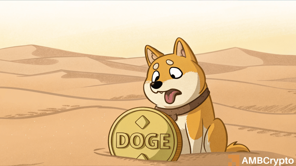 Dogecoin的衰落：Doge可以从95％的活动下降中恢复过来吗？